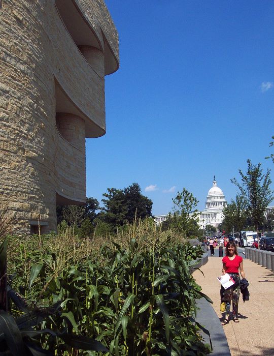 DCP11671