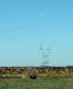 Picture IMG_1538
