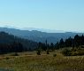 IMG_1698