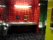 Picture IMG_1923