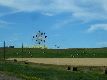 Picture IMG_5040