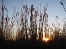 DT20111012083752