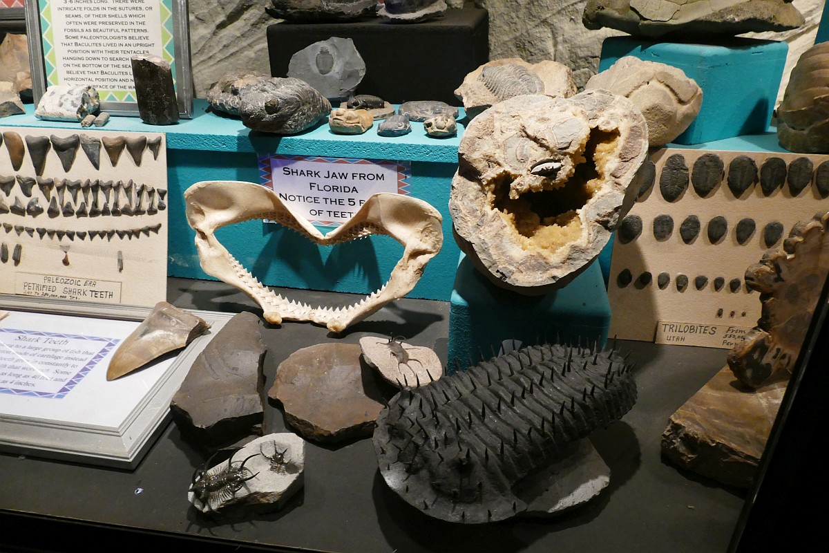 P1180918