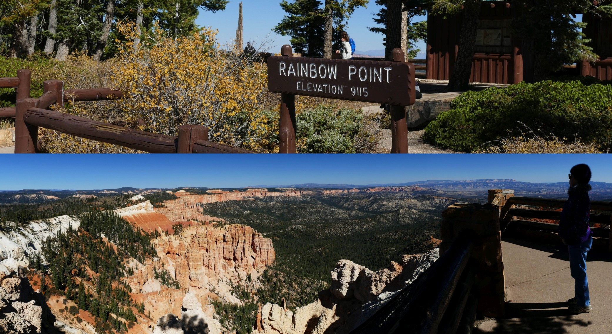 P1190158