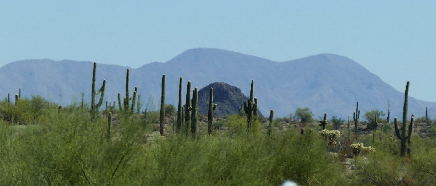 P1190884