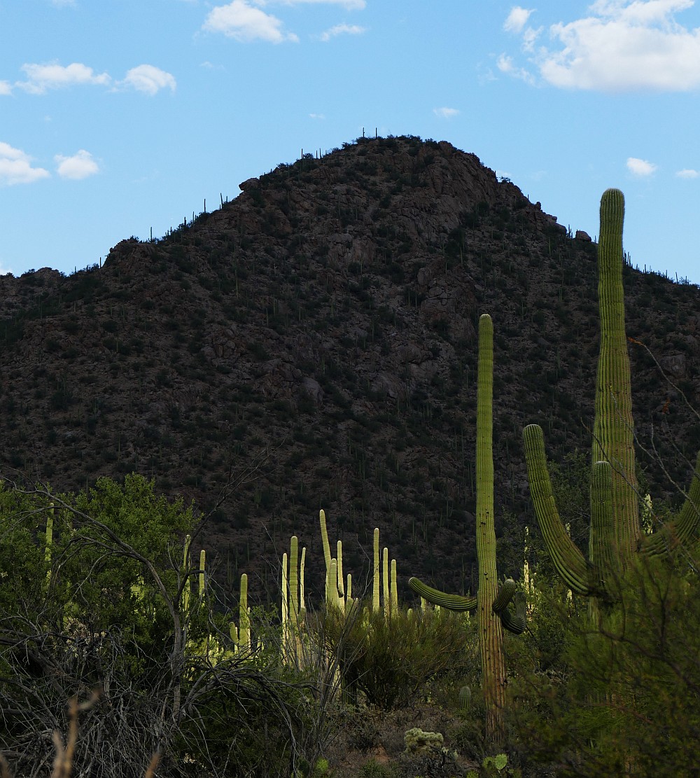 P1190956