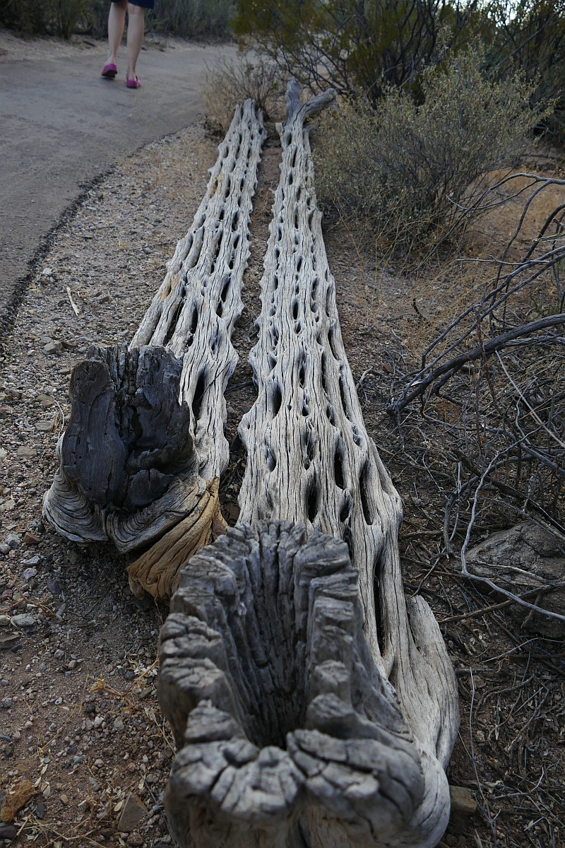 P1190979
