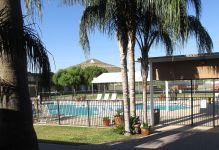 Picture IMG15915