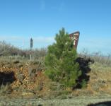 Picture IMG_2124